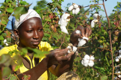 La Compagnie Malienne pour le Développement du Textile