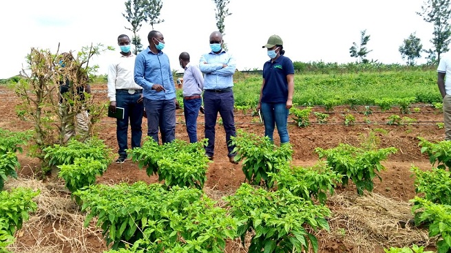 Campagne agricole 2021 au Togo