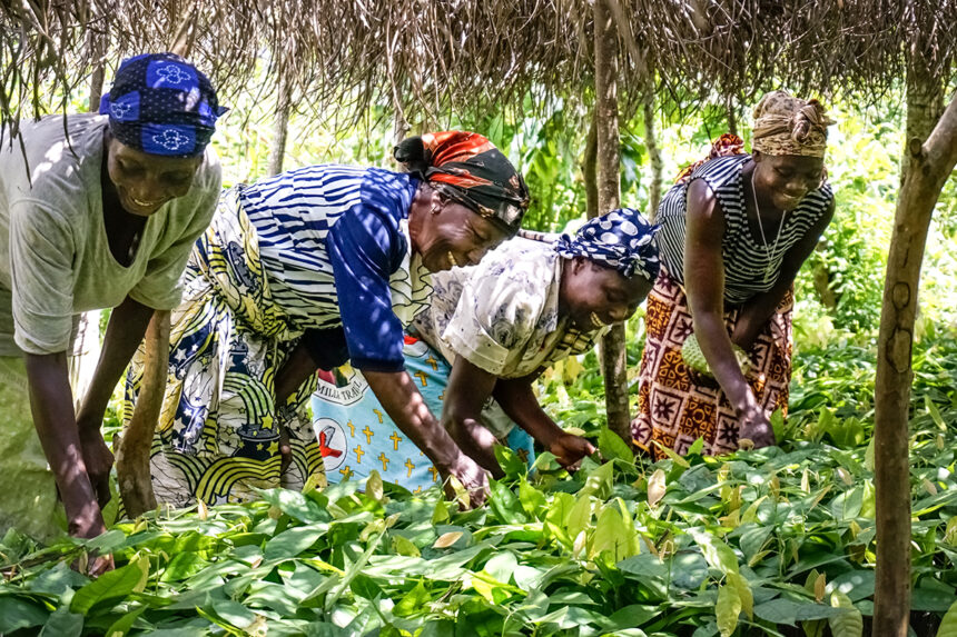 exportations agricoles du Togo