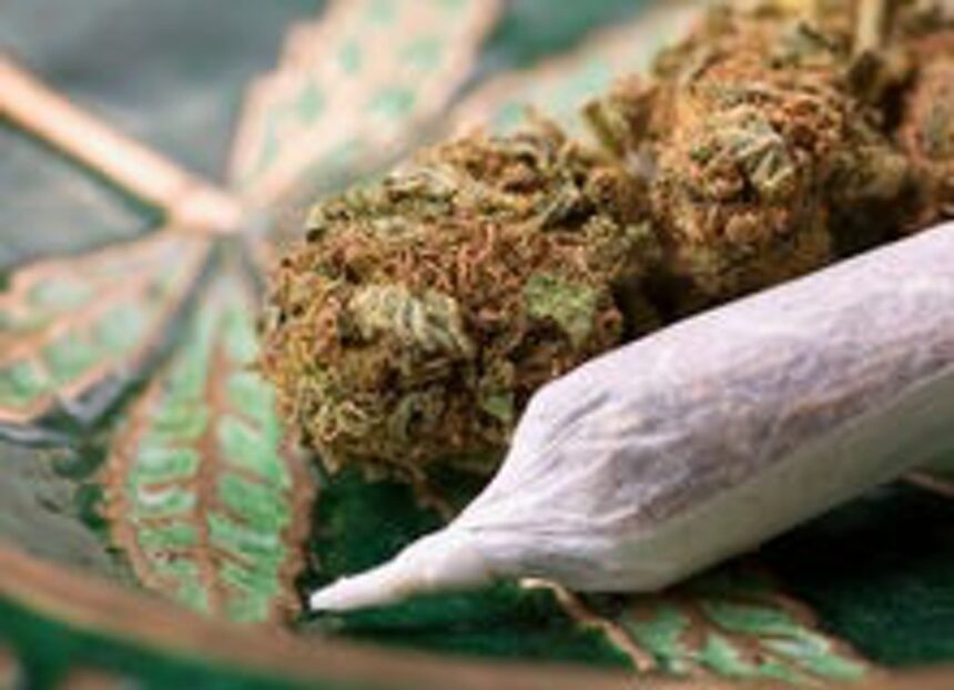 Maroc vers une légalisation du cannabis