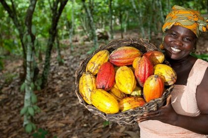 grands producteurs de cacao dans le monde