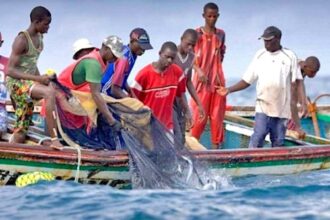 filets de pêche similaires aux moustiquaires