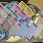 monnaies les plus faibles d'Afrique en 2021