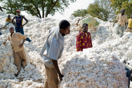 Filière coton en Afrique de l’Ouest