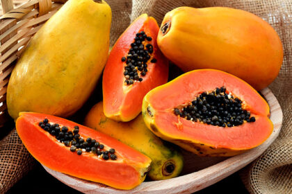 bienfaits de la papaye sur la santé 