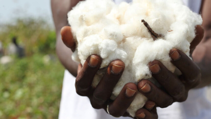 Coproduits du coton au Togo
