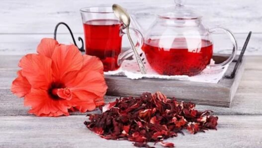 bienfaits de la fleur d’hibiscus