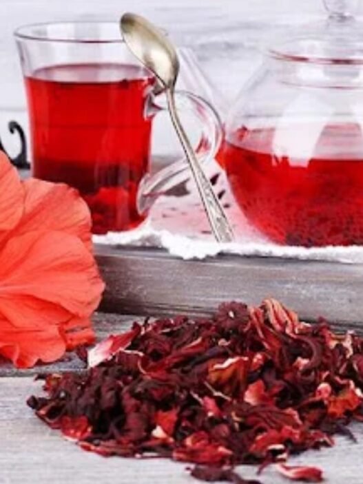 bienfaits de la fleur d’hibiscus