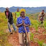 Producteurs agricoles togolais