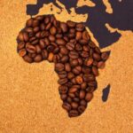 62e Assemblée annuelle de l’Organisation Interafricaine du Café au Togo