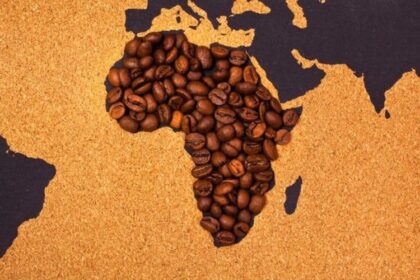 62e Assemblée annuelle de l’Organisation Interafricaine du Café au Togo