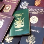 Passeports africains les plus puissants au monde