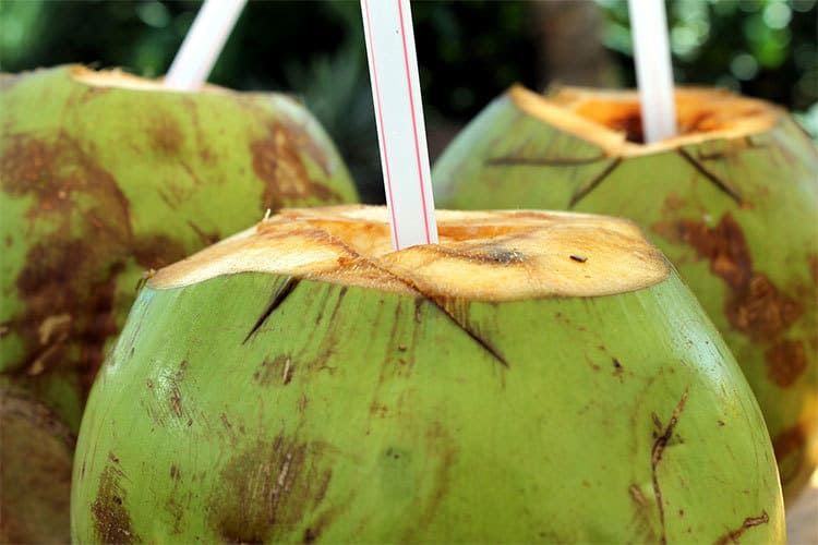 Bienfaits de la noix de coco sur la santé