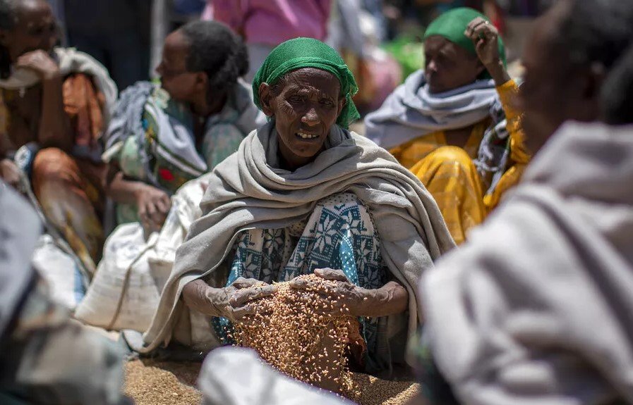 malnutrition sévère au Tigré