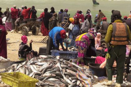 Pénurie de poissons en Mauritanie