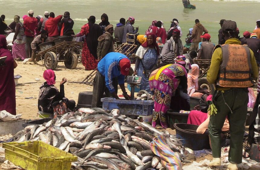 Pénurie de poissons en Mauritanie