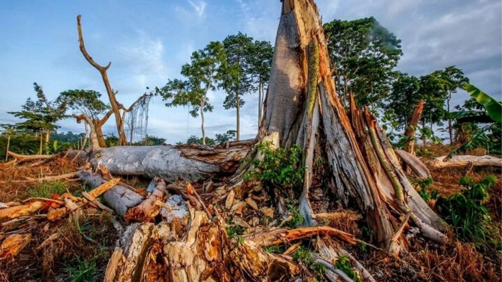 changement climatique en Côte d'Ivoire.