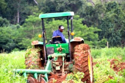 productivité agricole du Togo