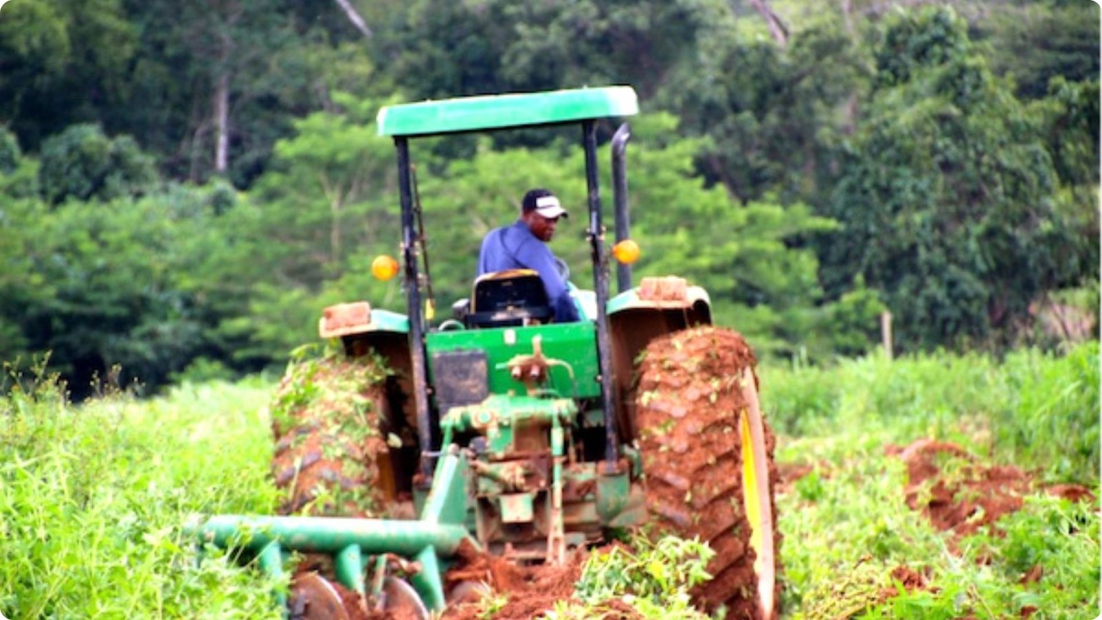 productivité agricole du Togo