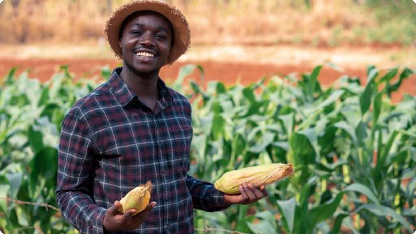 Recrutement de techniciens au ministère de l’Agriculture