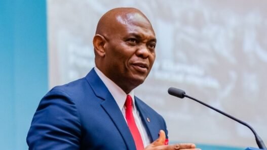 Fondation Tony Elumelu (TEF)