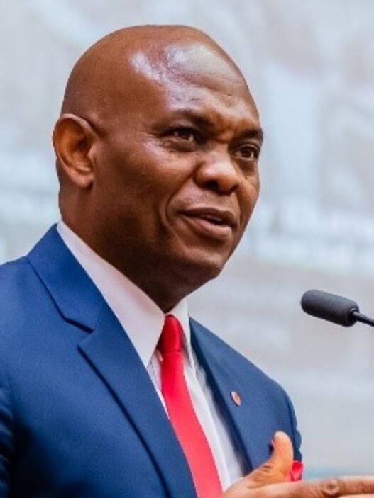 Fondation Tony Elumelu (TEF)