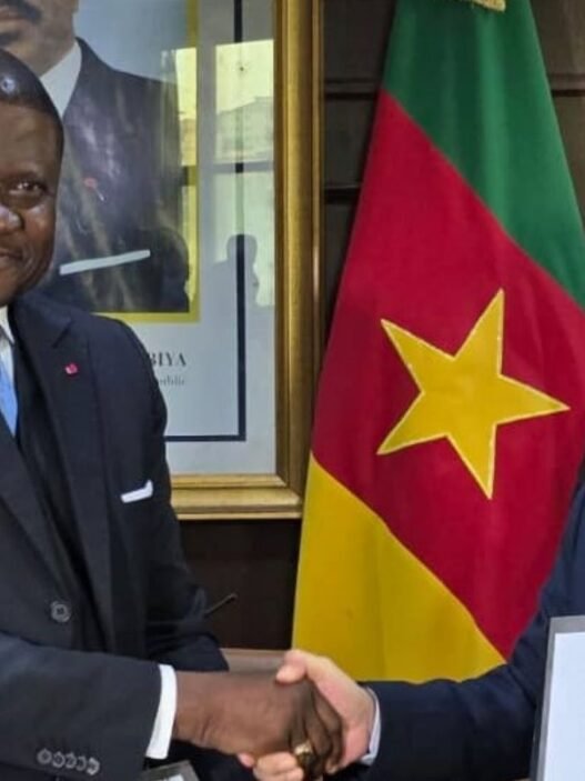 Cameroon Taxi Project