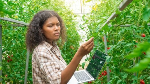 Programme Seed Lab