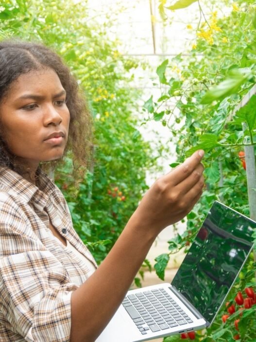 Programme Seed Lab