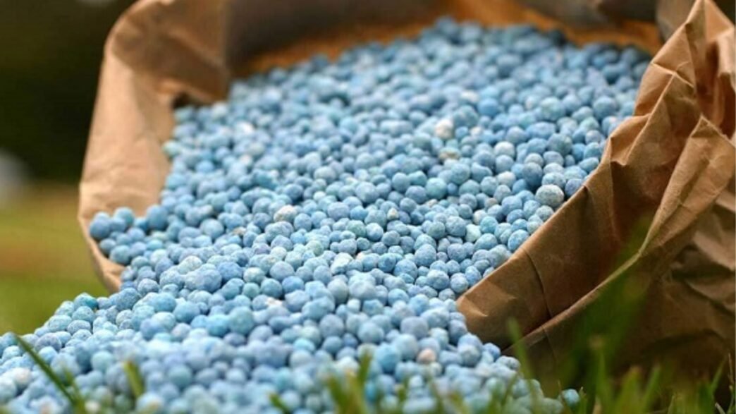 Sécurité alimentaire du Bénin