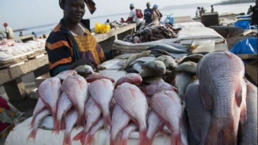 activités de pêche au Togo