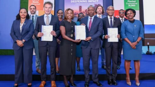 économie verte en Afrique