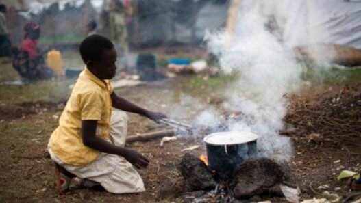 distribution de cuisinières