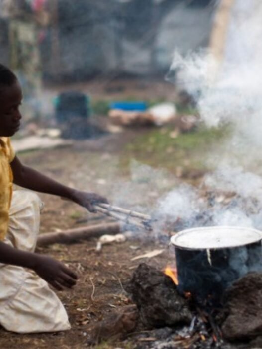 distribution de cuisinières