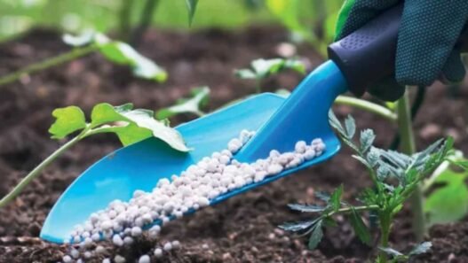 intrants agricoles
