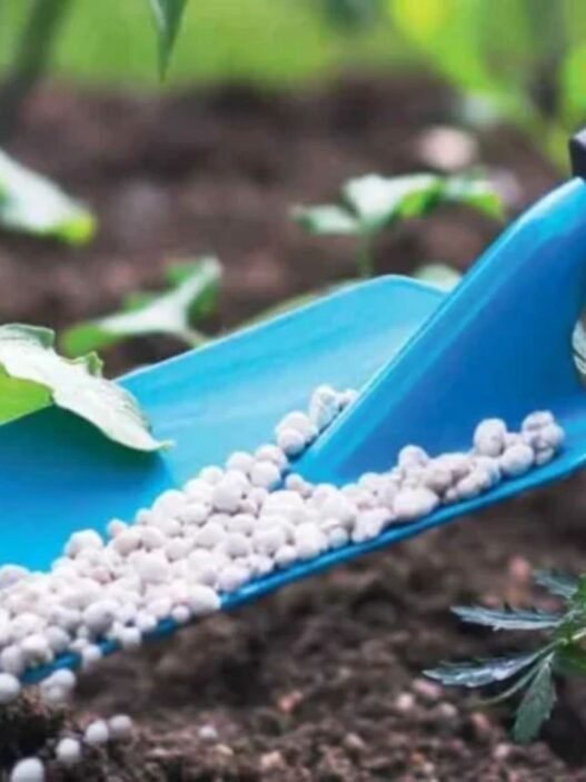 intrants agricoles