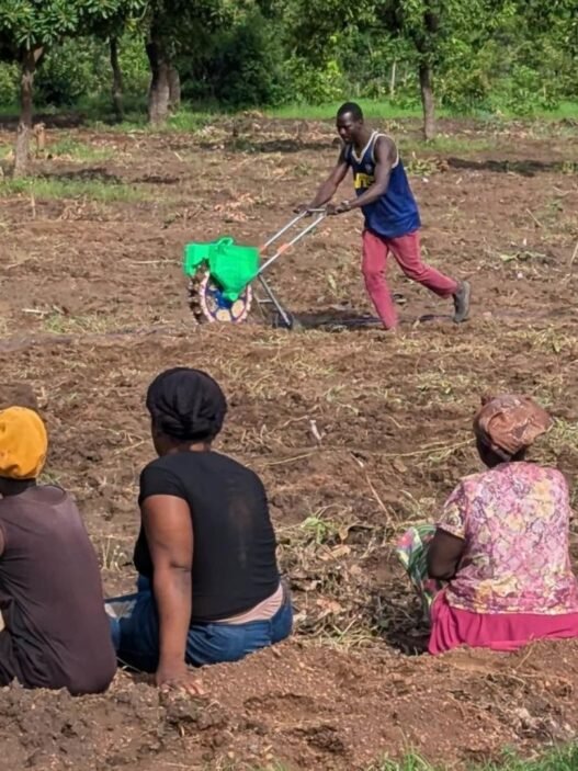 agriculture au Ghana