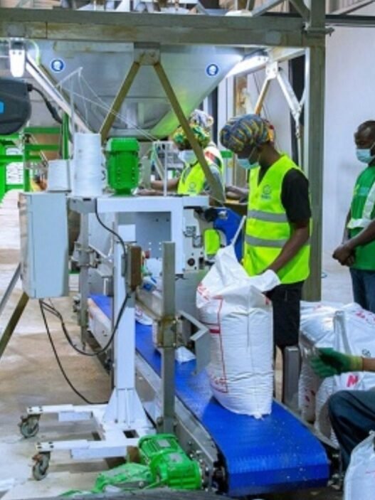 sécurité alimentaire au Ghana