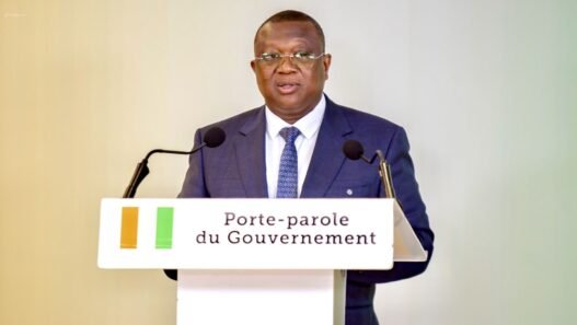 PME ivoiriennes