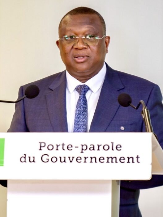 PME ivoiriennes