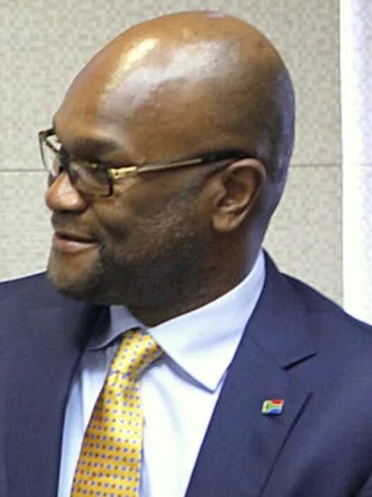 ambassadeur d’Afrique du Sud en France, Nkosinathi Mthethwa