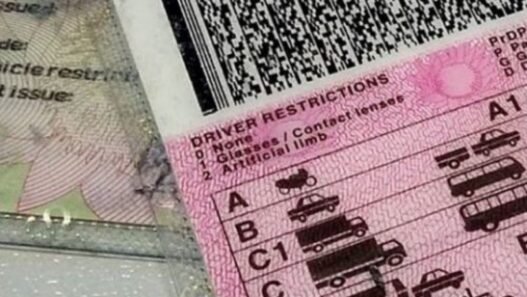 permis de conduire biométriques