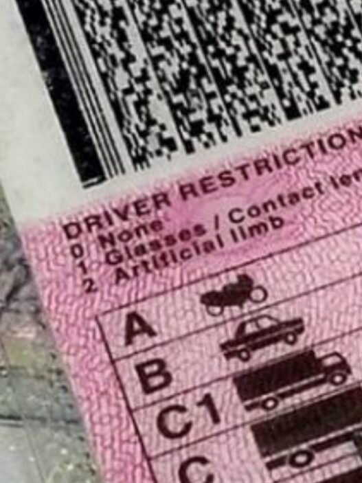 permis de conduire biométriques