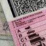 permis de conduire biométriques