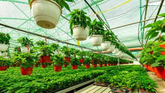 agriculture numérique