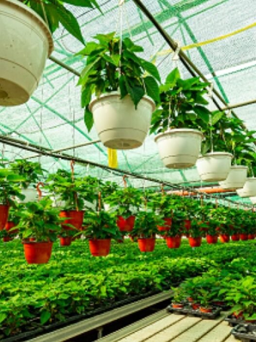 agriculture numérique