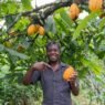 prix du cacao au Ghana