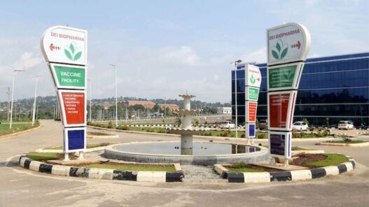 transformation du manioc