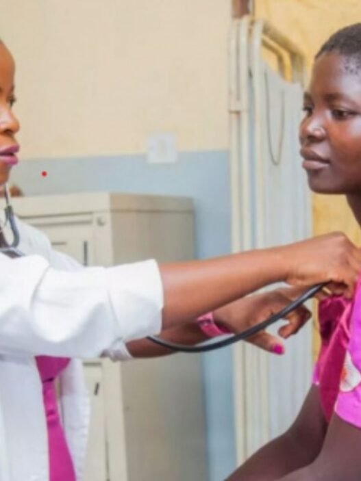 maladies non transmissibles