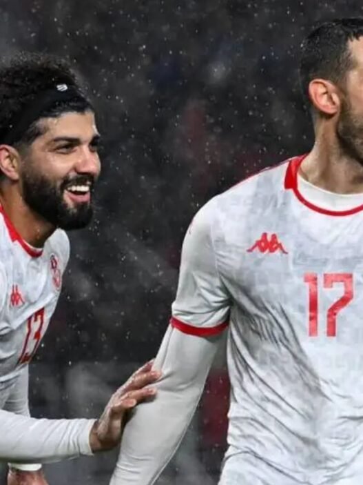 les Aigles de Carthage